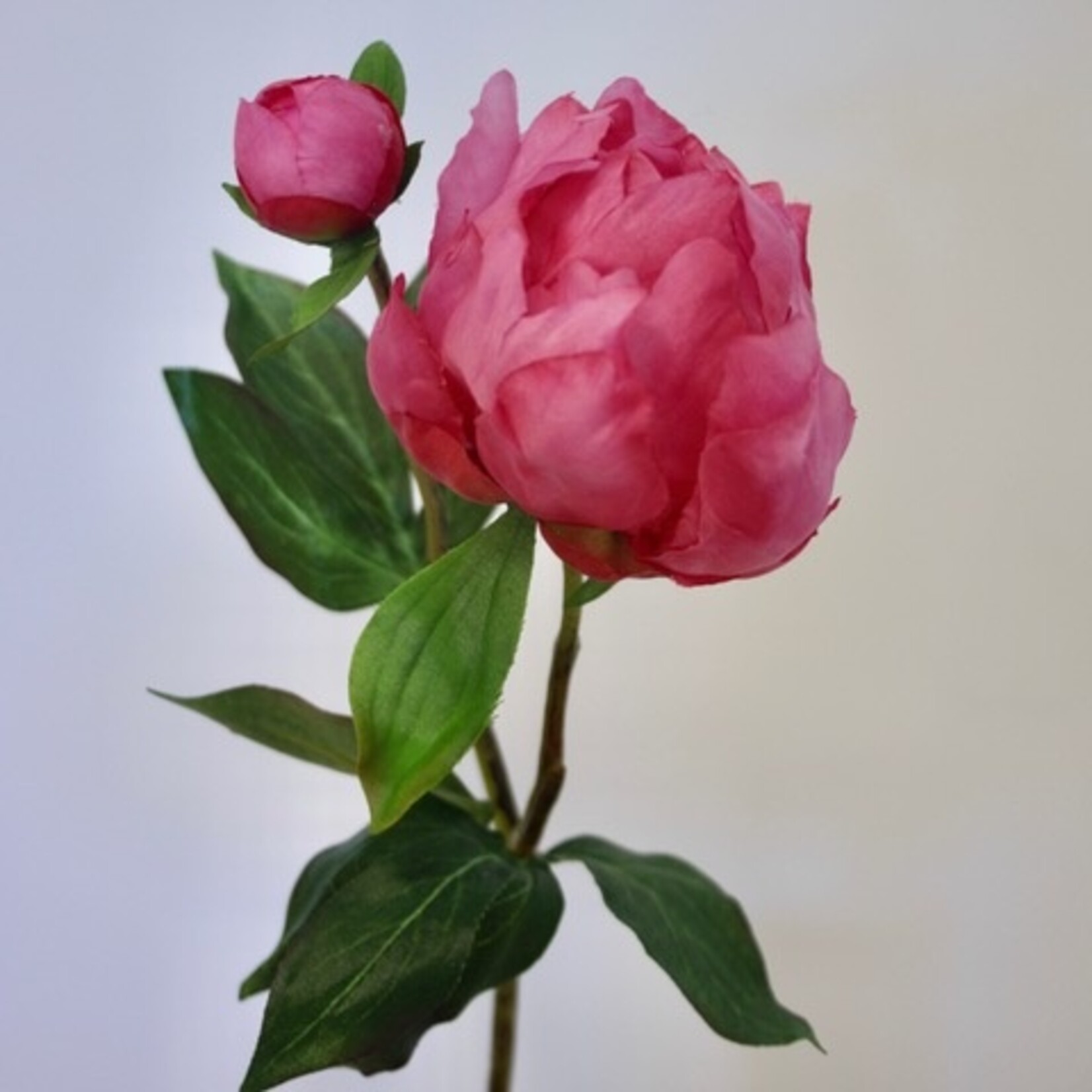 PEONY JAZZ  | PINK | 45 CM