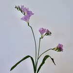 FRESIA| LILAC | 60 CM