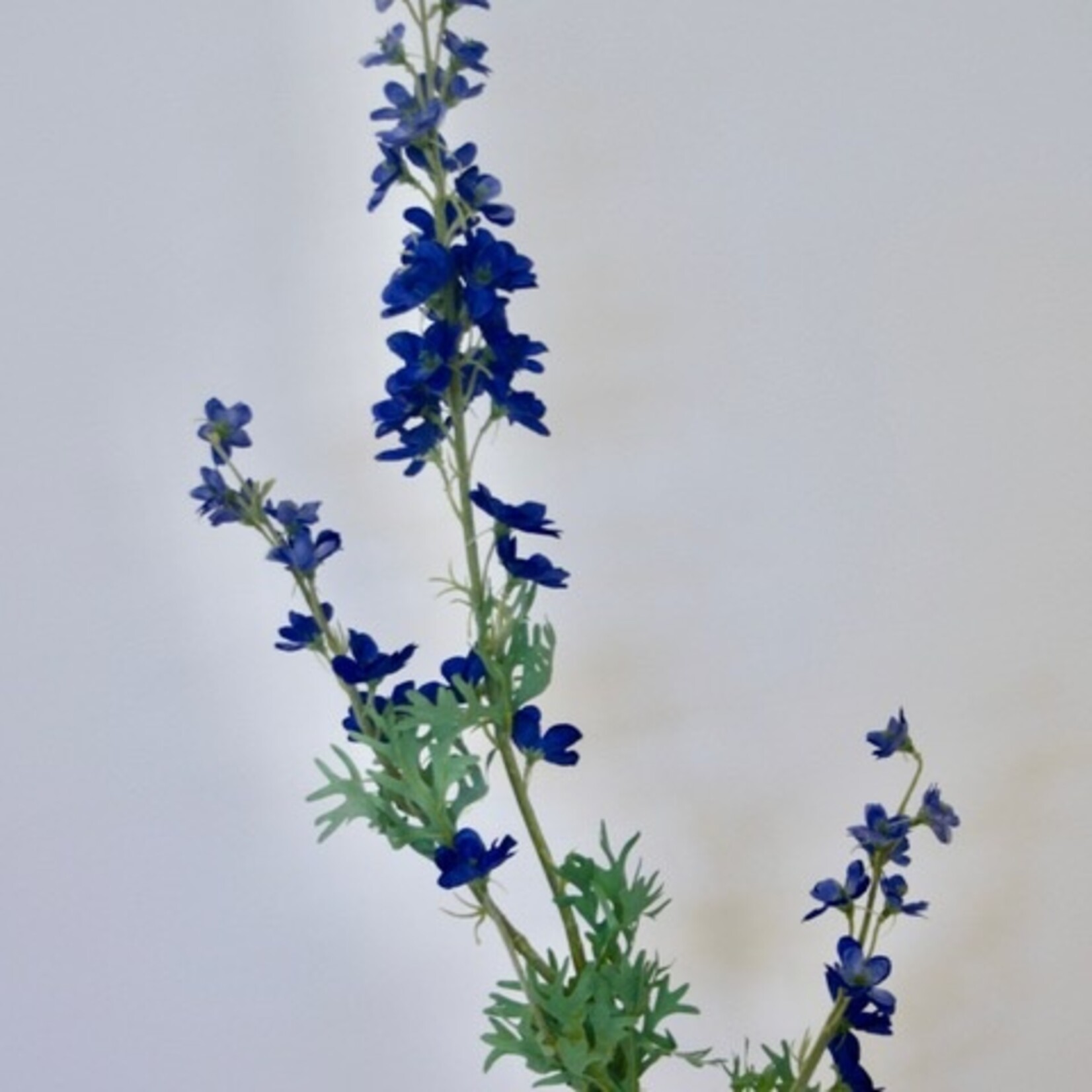 DELPHINIUM | BLAUW | 86 CM