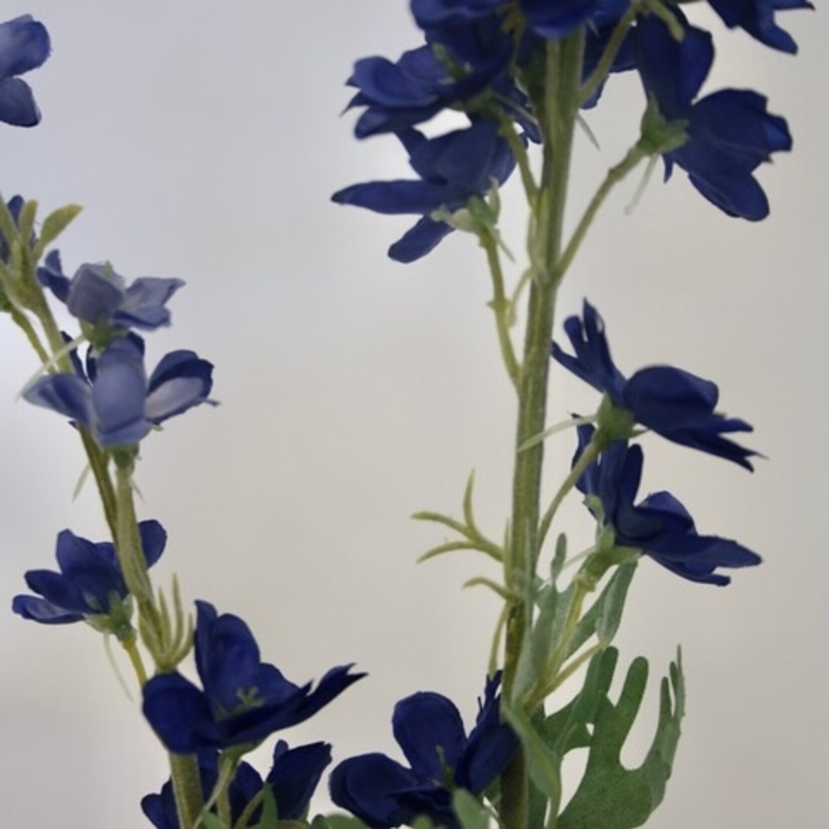 RIDDERSPOOR | BLAUW | 86 CM