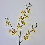 ONCIDIUM ORCHID |YELLOW| 85 CM