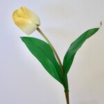 TULP  | GEEL | 45 CM