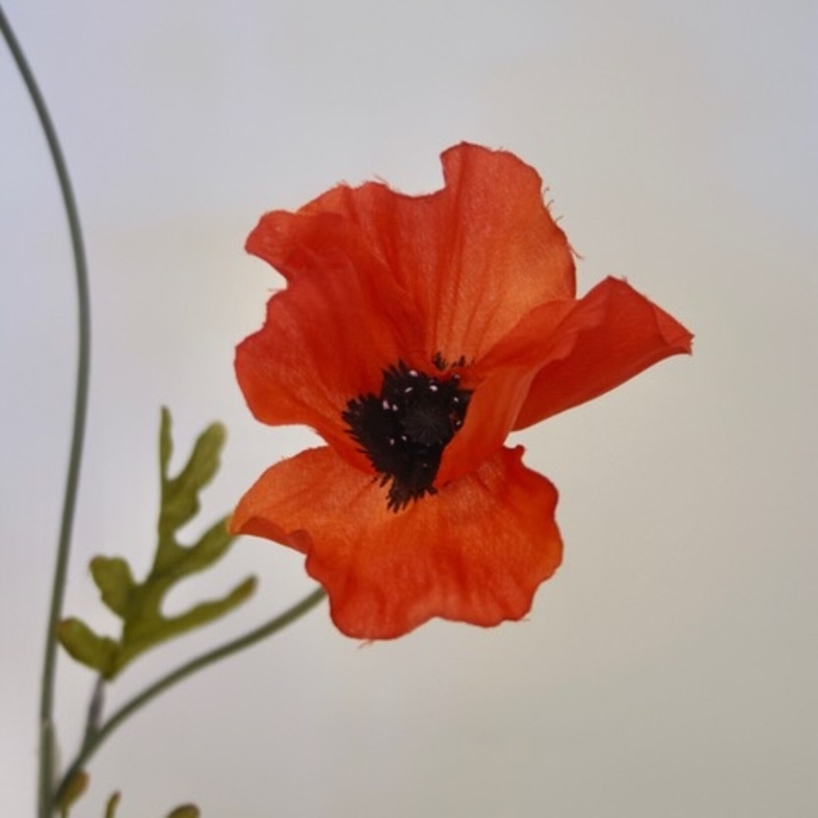 POPPY X3 | ORANGE RED | 60 CM