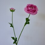 RANUNCULUS | PINK | 63 CM