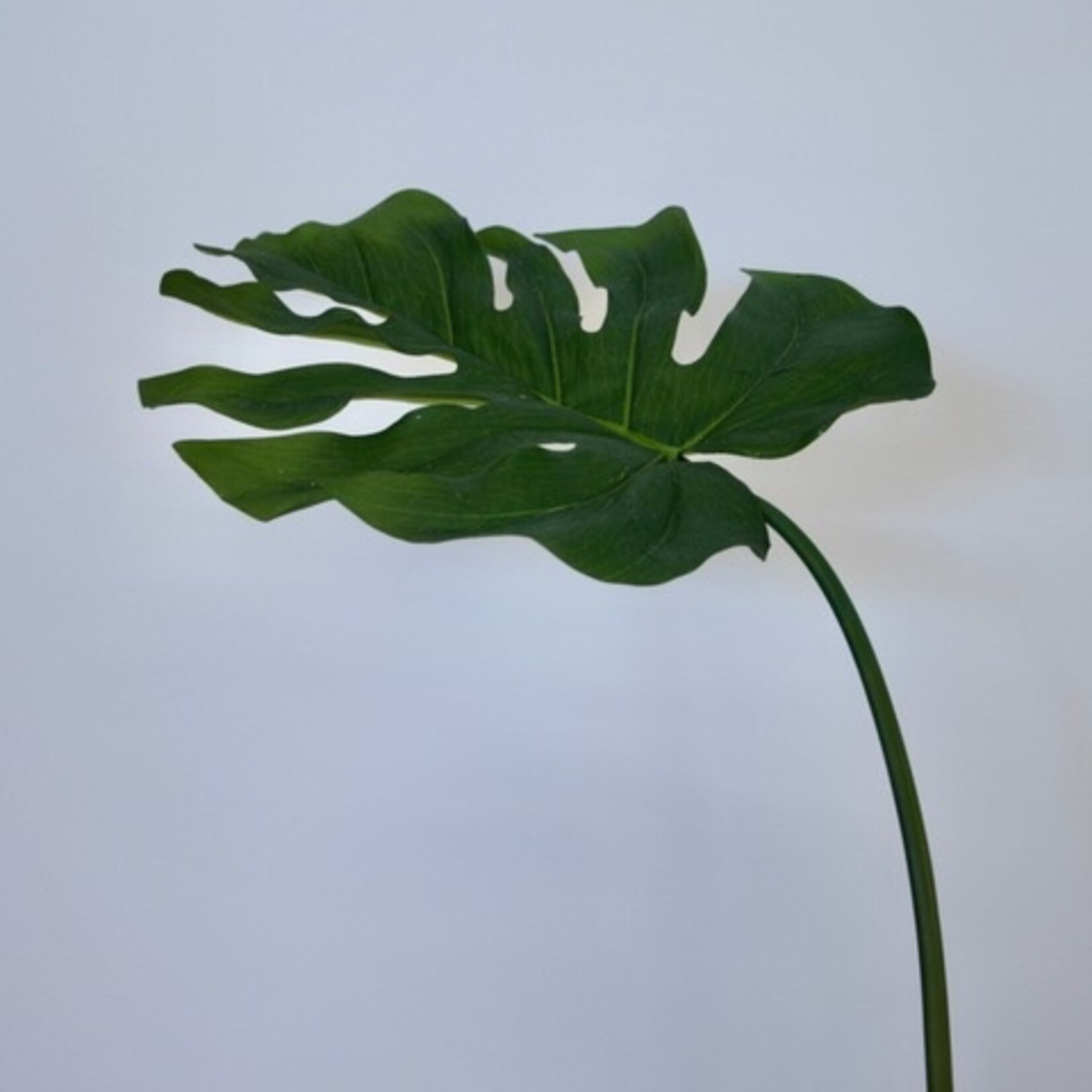 MONSTERA LEAF | GROEN | 85 CM