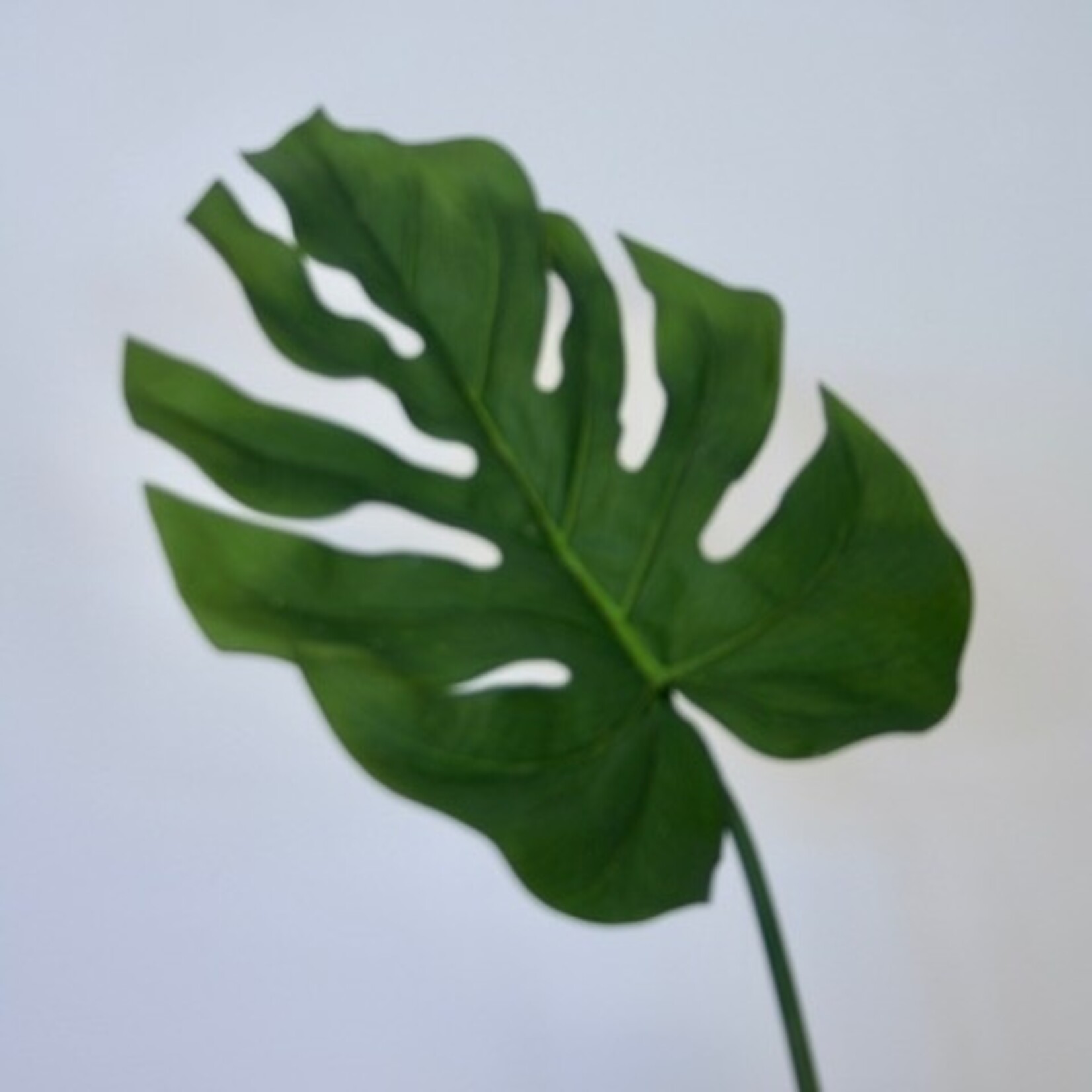 MONSTERA BLAD | GROEN | 85 CM