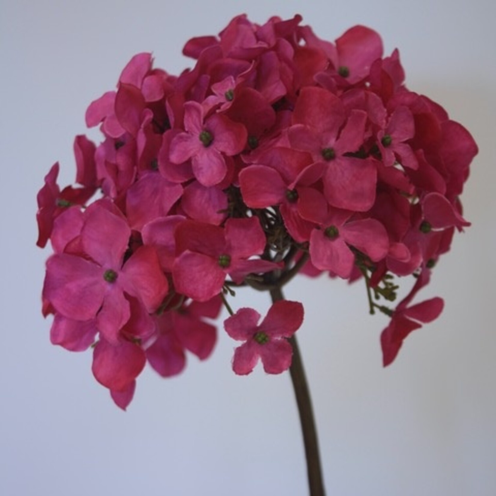 HYDRANGEA | HOT PINK| 50 CM