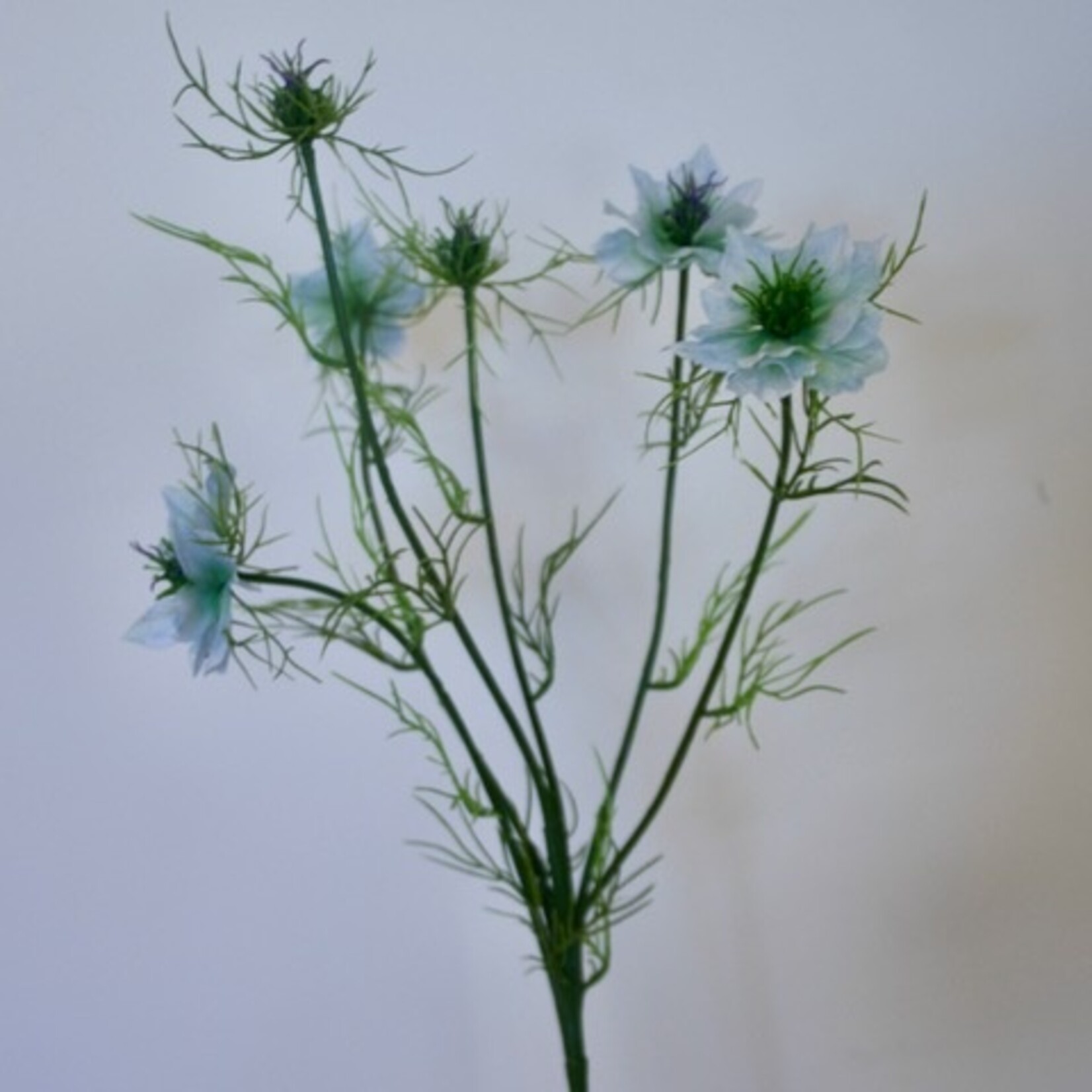 JUFFERTJE IN 'T GROEN | LICHT BLAUW | 66 CM