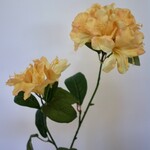 BERGROOS | GEEL | 78 CM
