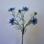 NIGELLA | BLUE | 66 CM