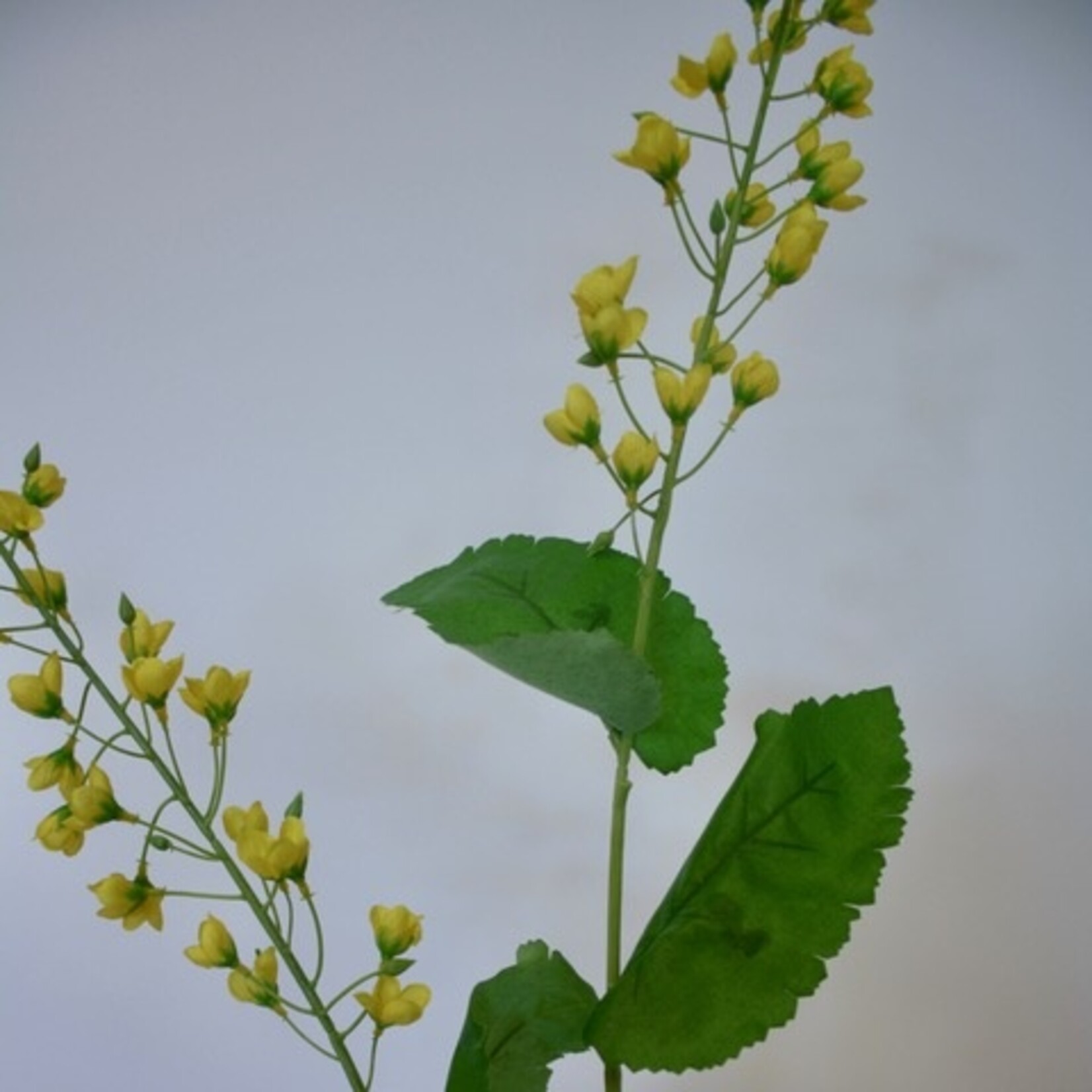 CANOLA BRANCH | YELLOW | 85 CM