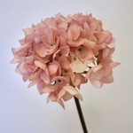 HYDRANGEA | SOFT  PINK| 50 CM