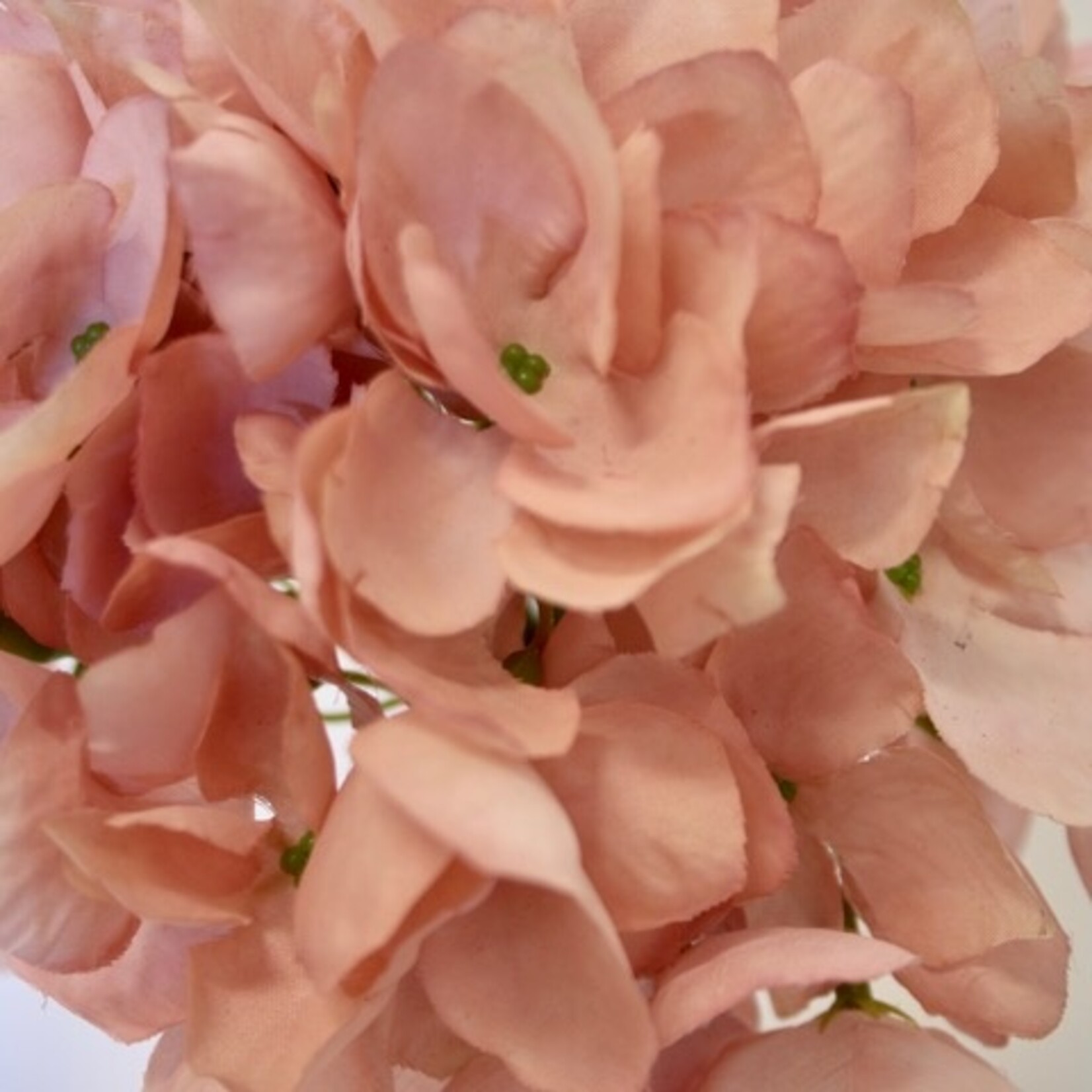 HORTENSIA | ZACHT ROZE | 50 CM