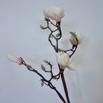 MAGNOLIA | PERZIK | 100 CM