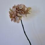 HORTENSIA | OUD ROZE | 63 CM