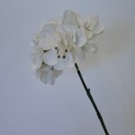 HYDRANGEA | WHITE | 63 CM