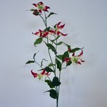 GLORIOSA | FUCHSIA  | 120 CM