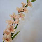 GLADIOOL | ZALM | 110 CM