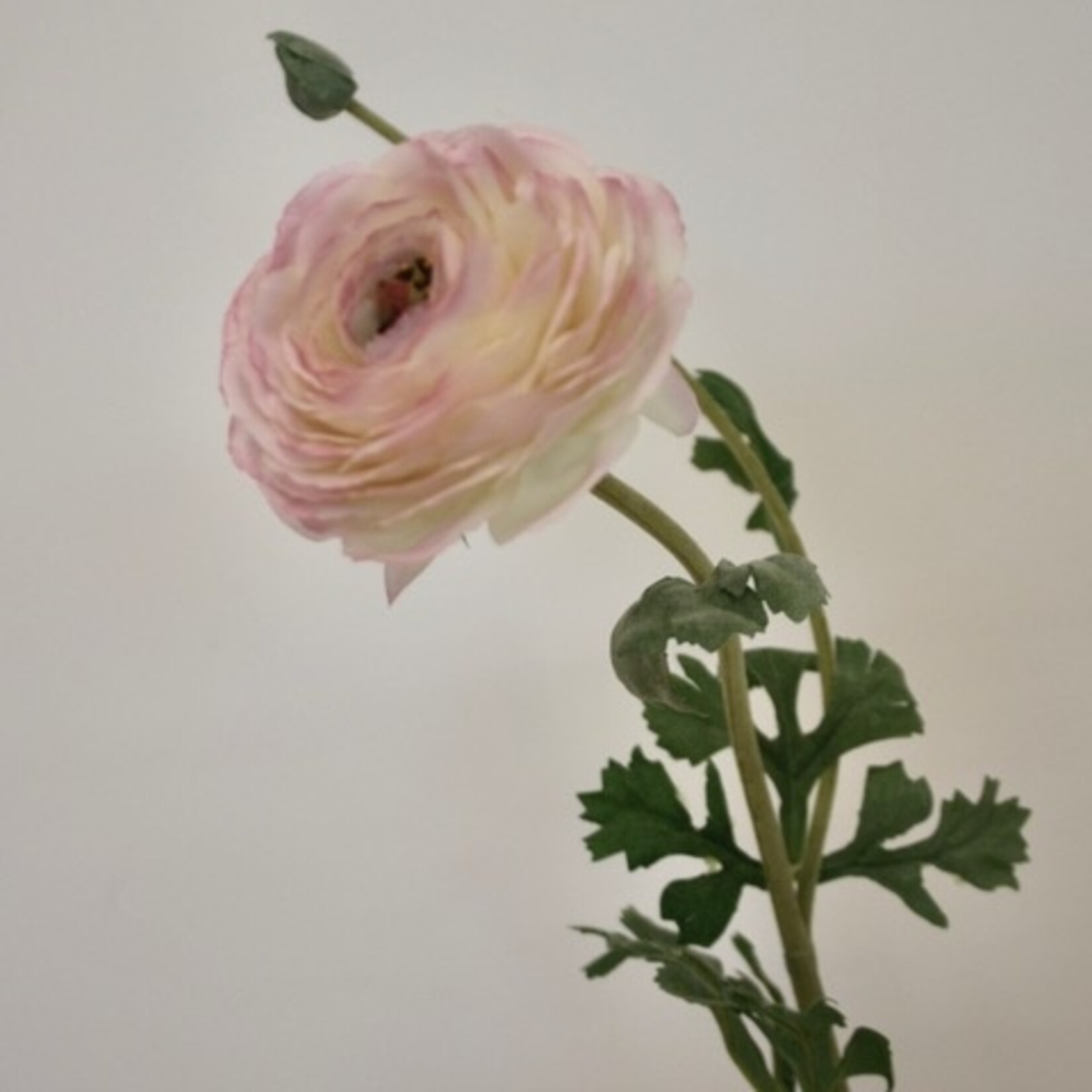 RANUNCULUS | PINK | 68 CM