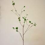 KRUL TAK MET BLAD | GROEN | 135 CM