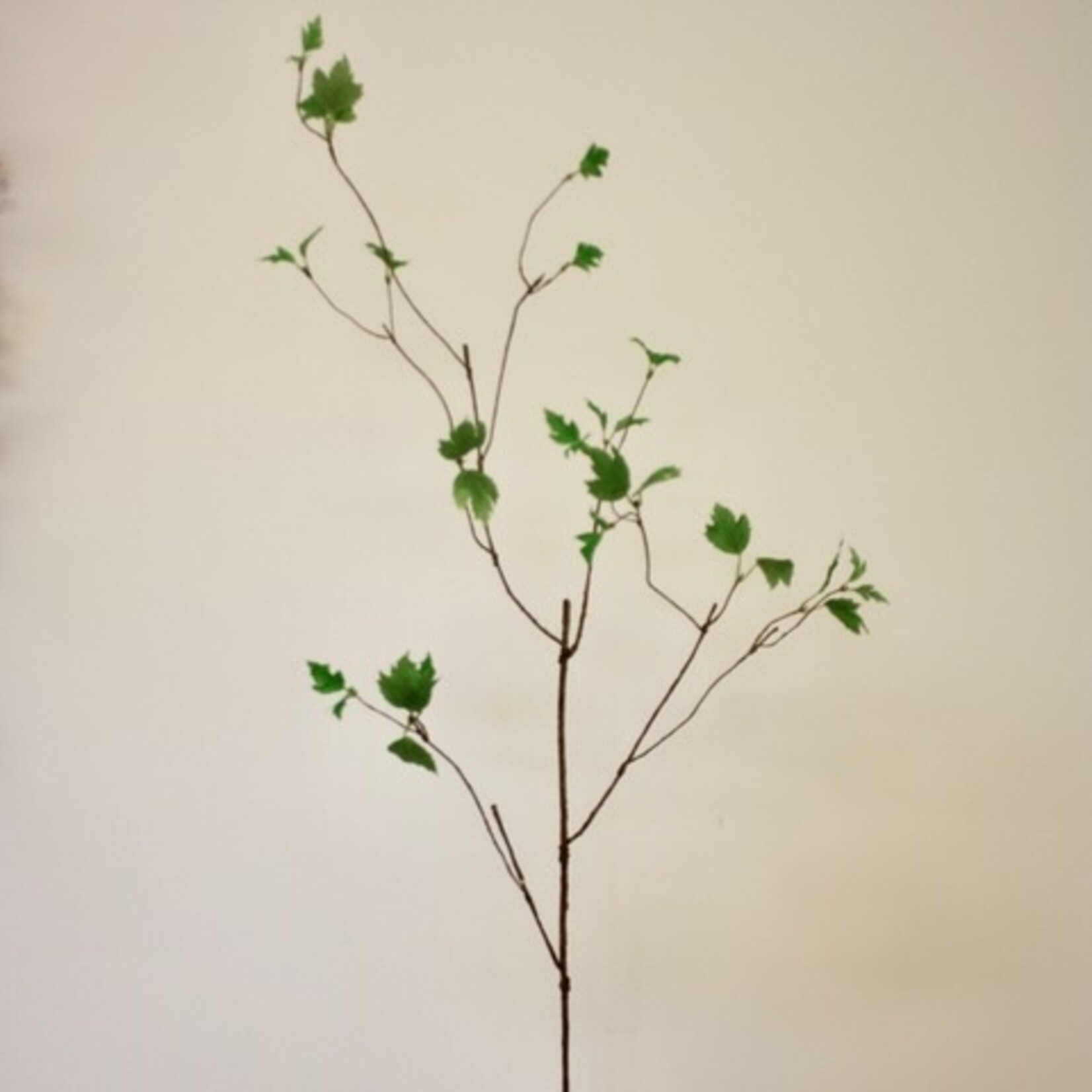 KRUL TAK MET BLAD | GROEN | 135 CM