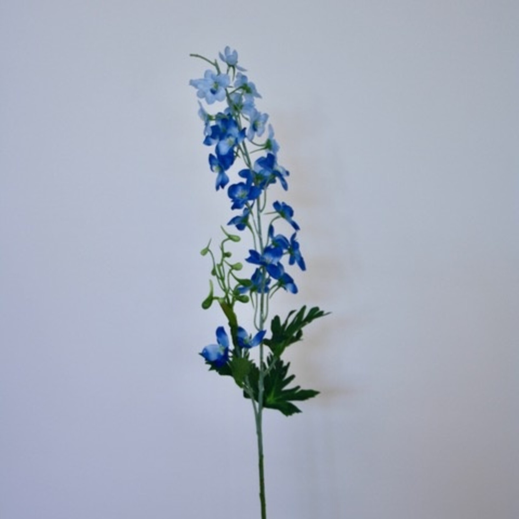 RIDDERSPOOR SUMMER SKIES | BLAUW | 77 CM