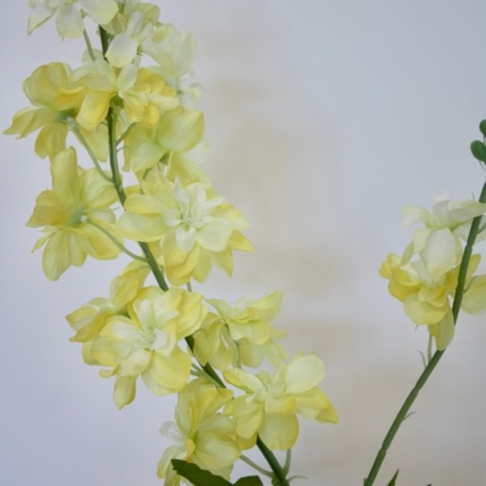 RIDDERSPOOR | GEEL | 86 CM