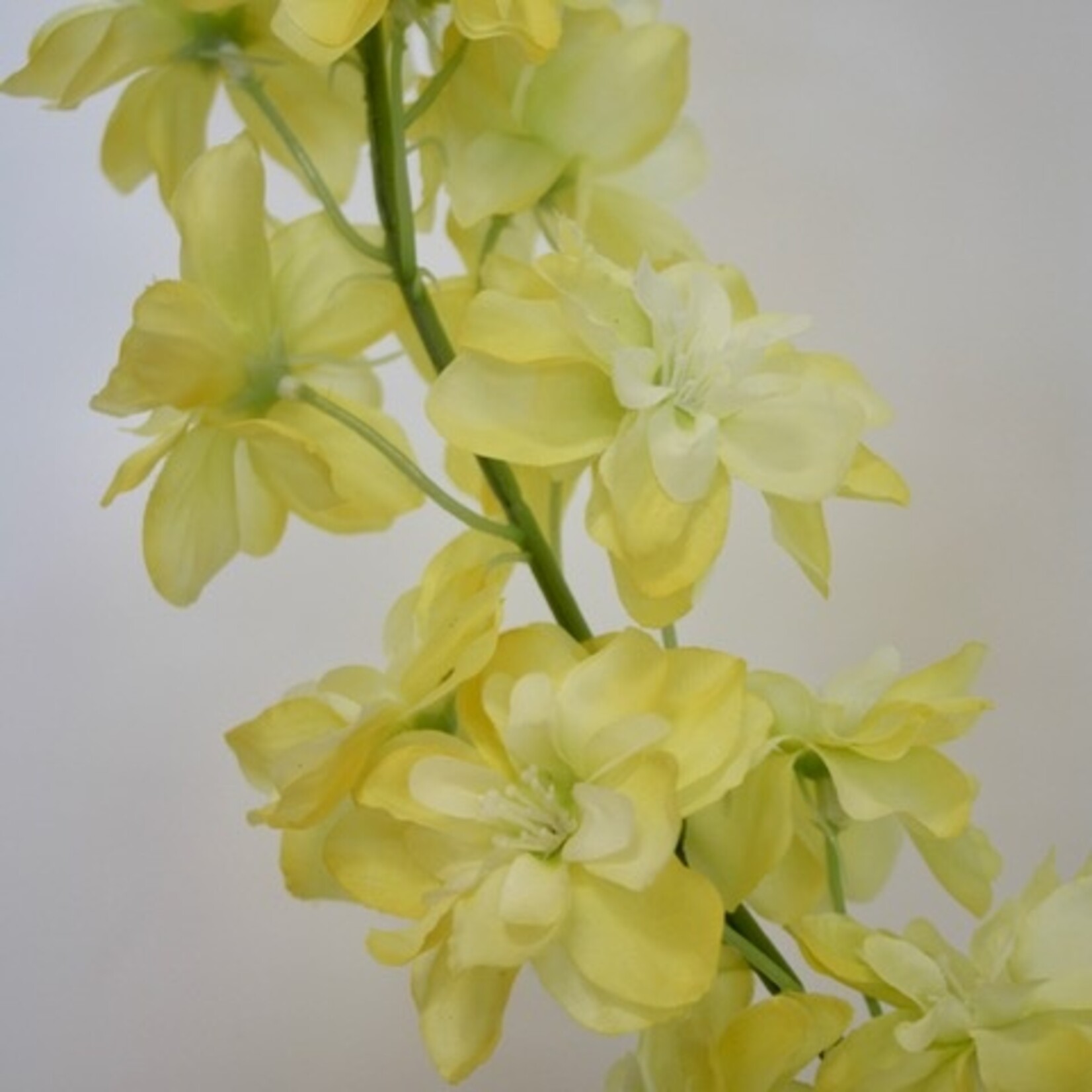 RIDDERSPOOR | GEEL | 86 CM