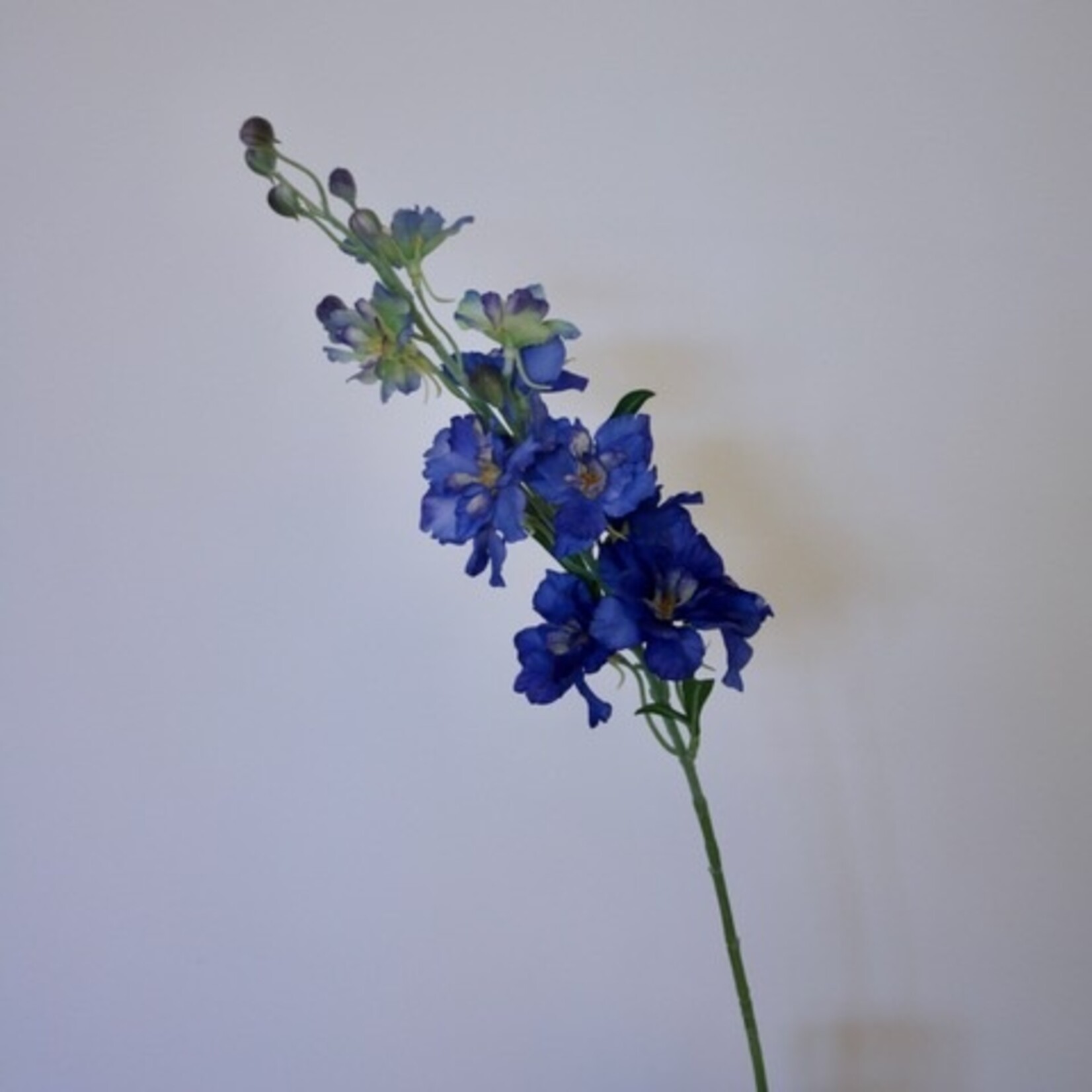 RIDDERSPOOR ELEGANCE | BLAUW | 60 CM