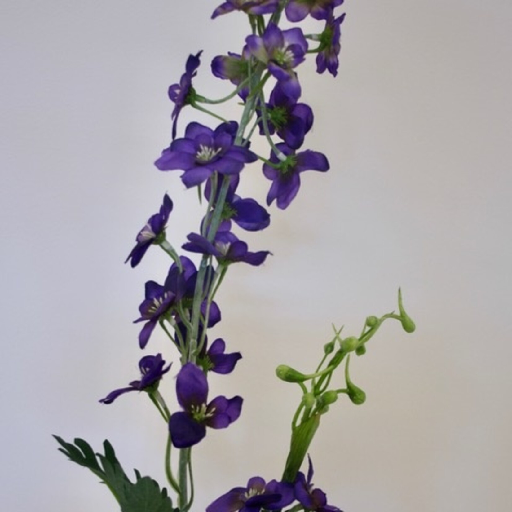 RIDDERSPOOR  | PAARS | 77 CM