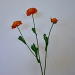 RANONKEL X3| ORANJE| 65 CM