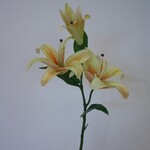 LILY | YELLOW | 88 CM