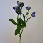 HELLEBORE | BLUE | 45 CM