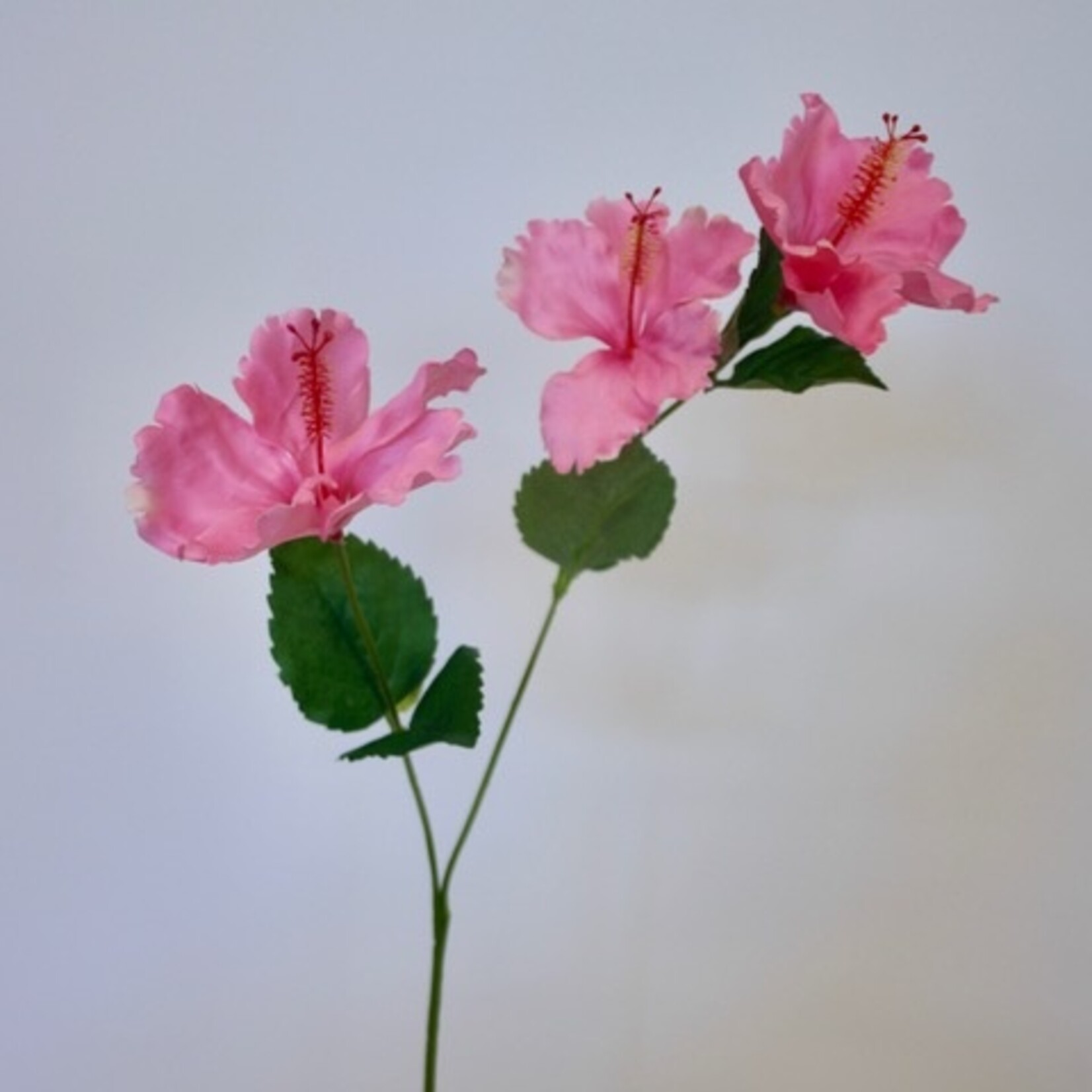 HIBISCUS 3X | PINK | 66 CM