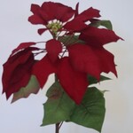 POINSETTIA | RED| 80 CM