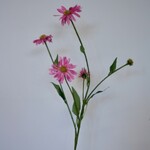 ZONNEHOED | ROZE | 83 CM