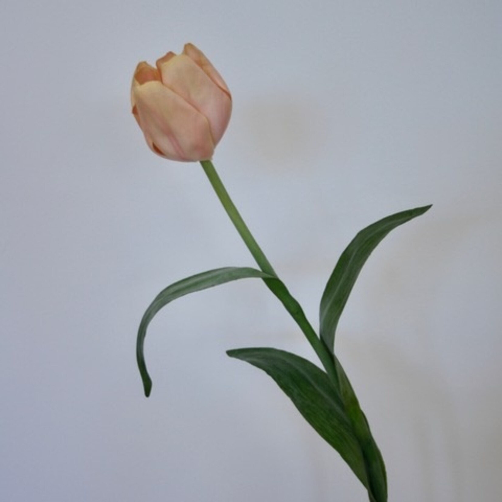 BULB JUMBO | PINK | 67 CM