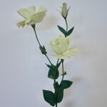 LISIANTHUS | GROEN | 76 CM