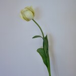 TULP | CREME | 66 CM