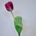 TULP | ROZE | 48 CM