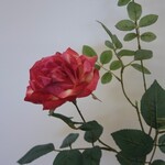 ROSE | HOT PINK | 75 CM