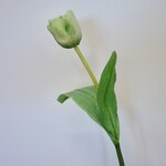 TULP | GROEN | 48 CM