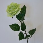 ROSE | GREEN| 66 CM