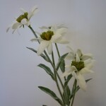 WILD FLOWER | WHITE | 37 CM