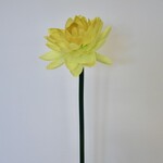 LOTUS BLOEM | GEEL | 47 CM