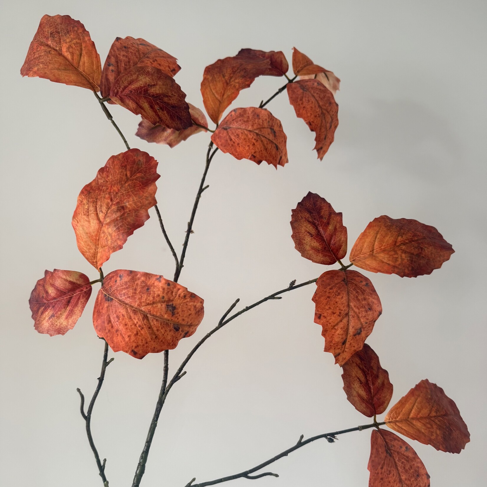 BLADTAK  HERFST | ORANJE | 122 CM