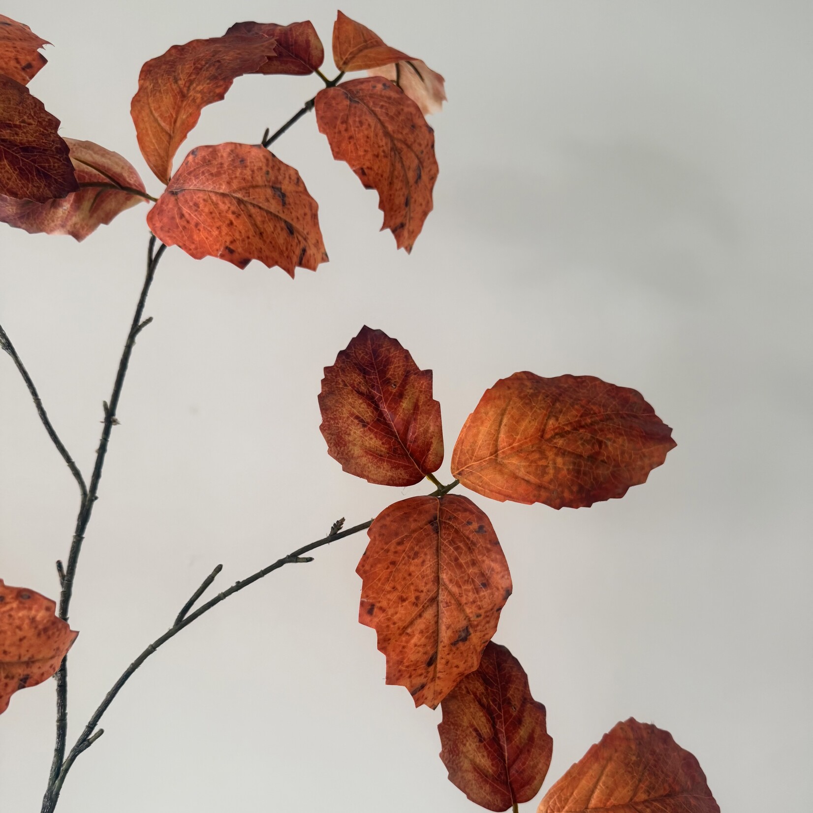 LEAF SPRAY AUTUMN | ORANGE | 122 CM