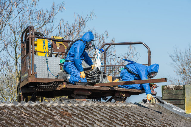 Asbestsaneerderset - Basic