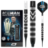 Red Dragon Red Dragon Gerwyn Price WC2021 Special Edition 90% Soft Tip Dartpile