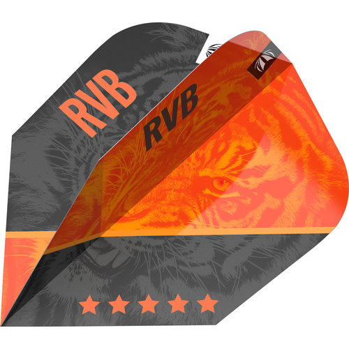 Target Target RVB G4 Pro Ultra NO6 - Dart Flights